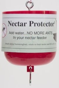 Ant Moat for Hummingbird Feeders Red Nectar Protector