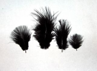 Marabou Feathers 1 4 oz Small 1 3 Fluffs Black Approx 105 per Bag
