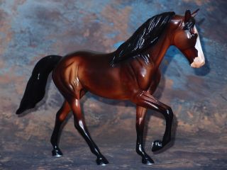  Stone TWH Tennesse Walker Fitzwilliam Only 85 produced Glossy