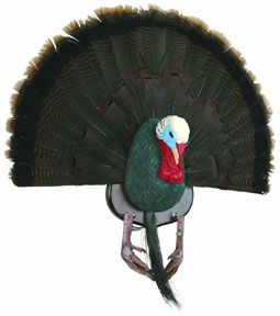 Flambeau Turkey Mounting Kit