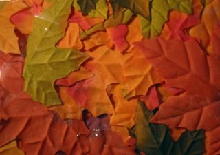 200 Fall Wedding Maple Leaf Petals Favors Flowers