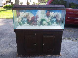  55 Gal Fish Tank Stand Coral Filter Etc