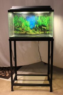 10 Gallon Fish Tank Metal Stand Light Hood Bio Wheel Filter and