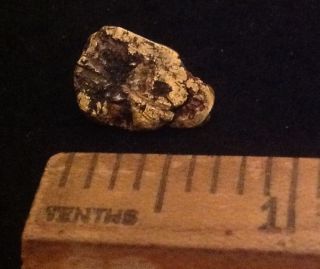 grams 22K Karat Gold Natural Nugget Canada Mine from Estate