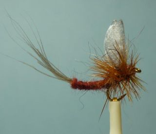 24 Extended Body Dry Flies Asst. PMD, Mahogany Dun or Blue Quill, #18,