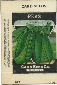 Vintage Gradus Peas Seed Box From Card Seed Co.Fredonia,N.Y.