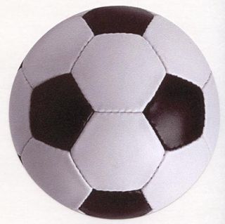 Ball Magnet Vinyl Decal Choose Size Football High School Sports