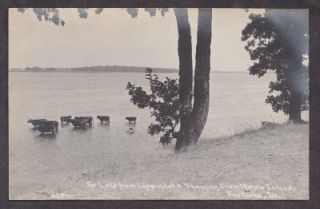 1915 Crab Apple Island View Fox Lake Illinois C R Childs Real Photo