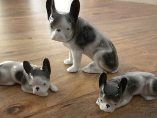 french Bull Dogs collection, Germany Porcelain Figurine, Miniature