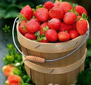 Pack 50 Seeds Strawberry Seed Delicious Sweet Fruit Seed B003