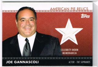 Joe Gannascoli 2011 Topps American Pie Celebrity Worn Relic The