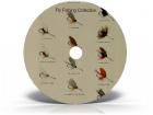 Fly Fishing Vintage How to Book Collection on DVD 67 Titles Anglers