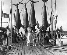 man, a woman, and three boys standing on a pier with four large fish