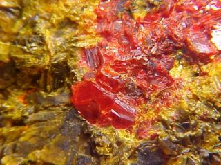 RARE Getchellite Orpiment Crystal Getchell Nevada