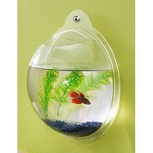 Fish Bowl Aquarium Wall Mount Tank Beta Goldfish Acrylic High Quality