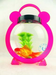  ornaments ecological small fish tank hanging acrylic goldfish bowl