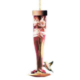 Schrodt Decorative Glass Hummingbird Lantern Feeder