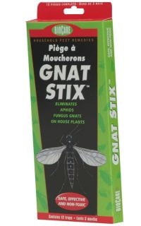 12 Biocare Gnat Stix Traps Safe Effective Non Toxic