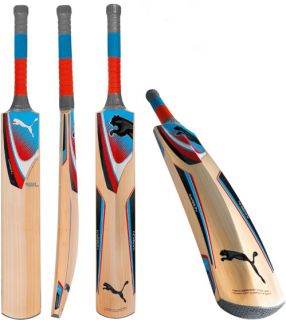  Cup 2012 English Willow Cricket Bat Full Stickers Limited Stock