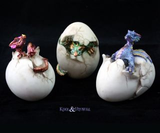 Gorgeous Colourful Baby Dragons Hatching from Eggs Set of 3