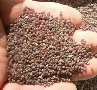 Pounds Idaho Purple Garnet Sand Gravel 8 to 12 Grit