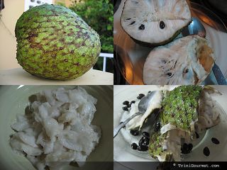 propagation the soursop tree is usually grown from seeds they