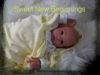 Reborn Baby Doll Patrick Samantha Gregory Long Sold Out 51 250 by