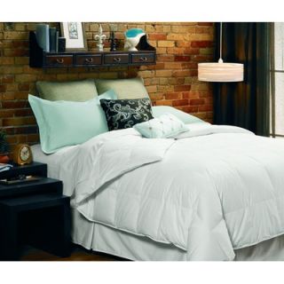 Down Inc. 10 Baffled Boxstitch Lightweight White Goose Down Comforter