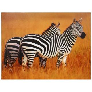 Plains Zebras Canvas Wall Art   23.5