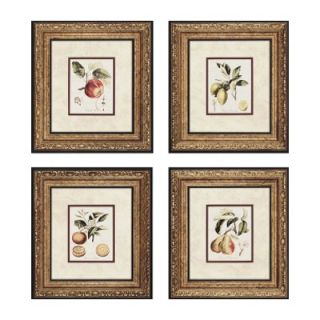  Tuscan Fruit by Unknown Culinary Art (Set of 4)   24 x 22
