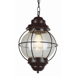 TransGlobe Lighting Outdoor Onion Hanging Lantern   69903 BK