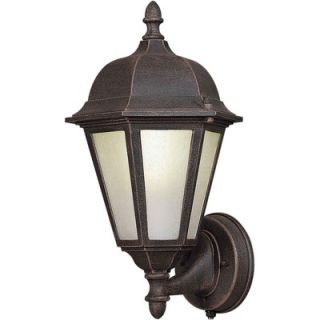 Forte Lighting 13.25 One Light Outdoor Wall Lantern   17016 01 04