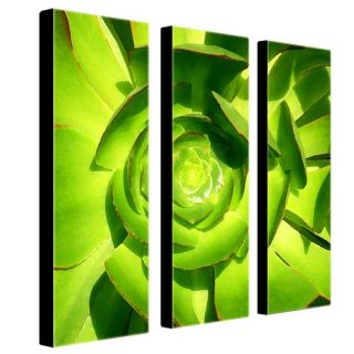 Succulent Square by Amy Vangsgard, 3 Panel Wall Art   33 x 27