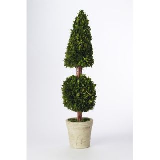 Napa Home & Garden Preserved Boxwoods 36 Preserved Greens Cone and