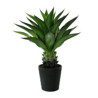 Flora Novara 32 Artificial Crown Cactus Plant  