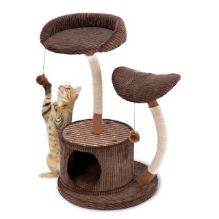 35 2 Level Lounge Activity Center with Retreat Hide Away Cat Tree