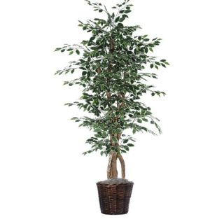 Executive 72 Artificial Potted Natural Variegated Ficus Tree in Green
