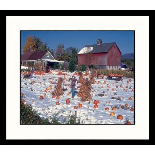 Great American Picture Pumpkins Framed Photograph