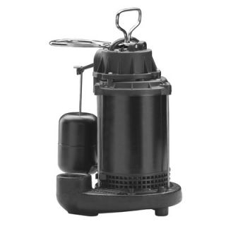 Wayne Water Systems 1/3 HP Vertical Float Switch cast iron Sump Pump