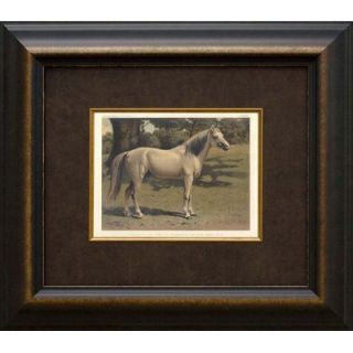 Phoenix Galleries Arab Charger Horse Framed Print
