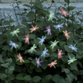 Smart Solar Accents Dragonfly Light String