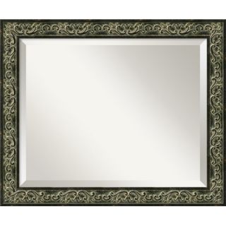 Amanti Art Tuscan Medium Mirror in Distressed Black   DSW01017