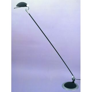 Trend Lighting Corp. Braccino One Light Floor Lamp in Black   TF568