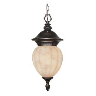 Nuvo Lighting Balun Energy Star Hanging Lantern in Chestnut Bronze