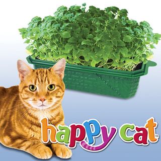 Happy Cat Sprout N Grow Cat NIP Garden Greenhouse Plant