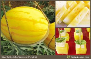  F1 Hybrid Golden Yellow Seedless Watermelon sugar melon fruit seeds