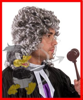 Grey Superior Theatrical Judge Fancy Wig Court Costume