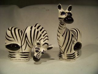 Westland Ark Safari Lynda Corneille (SWAK) Safari Zebra Salt and