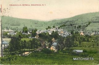  Colored Catskills Mountains New York Hendersonville Postcard