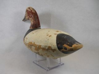 Canvasback Drake Duck Decoy Classic Havre de Grace Style Upper